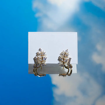 Breathtaking Crystal Earrings