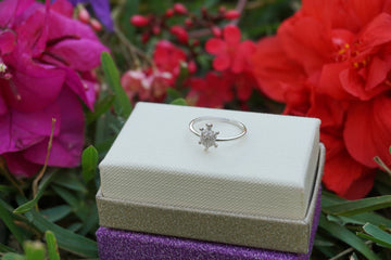 urtle Ring With Cubic Zirconia Stones ~ Nature Ring